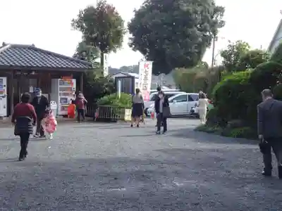 亀ケ池八幡宮の七五三参