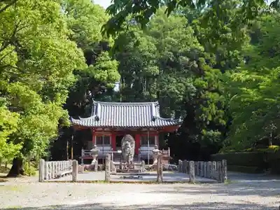 醍醐寺(京都府)