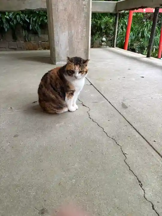 吾平津神社の{uncategorized: "未分類", other: "その他", undefined: "問題あり", building: "その他建物", grave: "お墓", sacred_gate: "鳥居", guardian: "狛犬", statue: "像", buddha: "仏像", history: "歴史", nature: "自然", garden: "庭園", animal: "動物", pagoda: "塔", temizu: "手水舎", mountain_gate: "山門・神門", sanctuary: "本殿・本堂", subordinate: "末社・摂社", art: "芸術", scenery: "景色", jizo: "地蔵", ema: "絵馬", goshuin: "御朱印", omikuji: "おみくじ", items: "授与品その他", amulet: "お守り", goshuincho: "御朱印帳", eats: "食事", festival: "お祭り", votive_dance: "神楽", shichigosan: "七五三参", wedding: "結婚式", experience: "体験その他", initially: "初詣", around: "周辺", anti_infection: "感染症対策"}