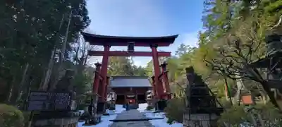 北口本宮冨士浅間神社の鳥居