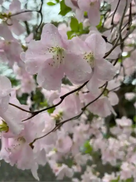信濃神社(北海道)