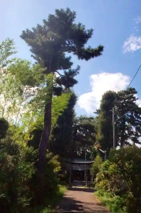 田端神社(東京都)