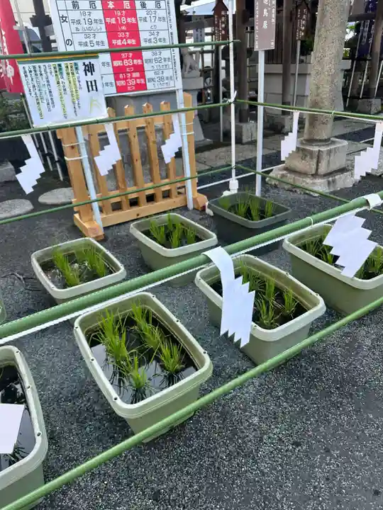 亀戸浅間神社(東京都)