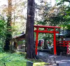 野宮神社(京都府)