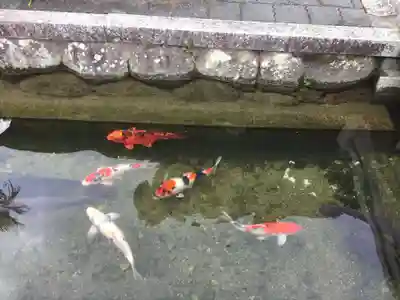 西勝寺(三重県)