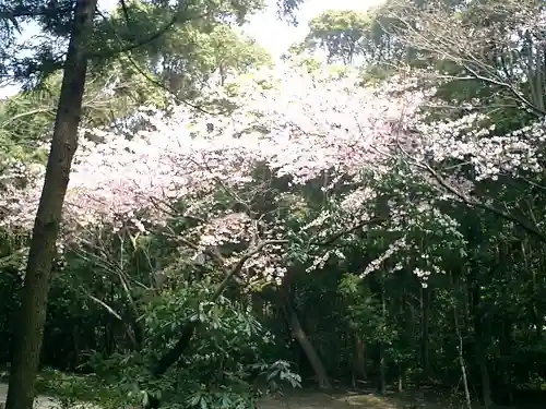 鶴岡八幡宮の自然