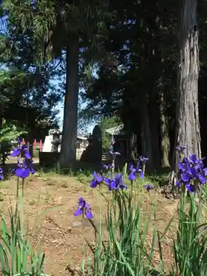 伏木香取神社(茨城県)