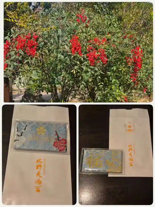 北野天満宮(京都府)