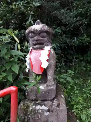 亀岡八幡宮の狛犬