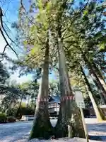 雄山神社前立社壇(富山県)