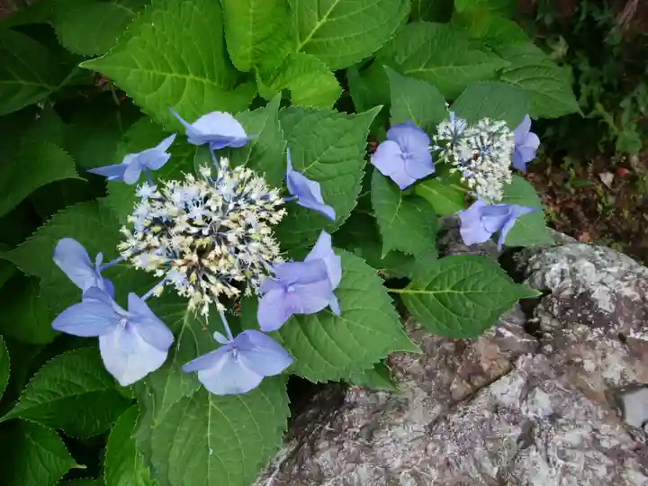 美幌神社の自然