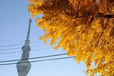 飛木稲荷神社(東京都)