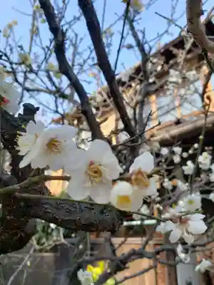 高円寺天祖神社(東京都)