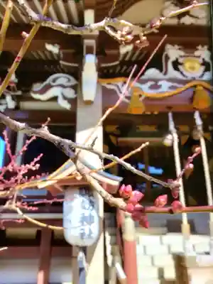 諏訪神社(東京都)