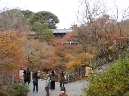 東福禅寺（東福寺）の景色