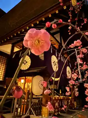 東京大神宮(東京都)