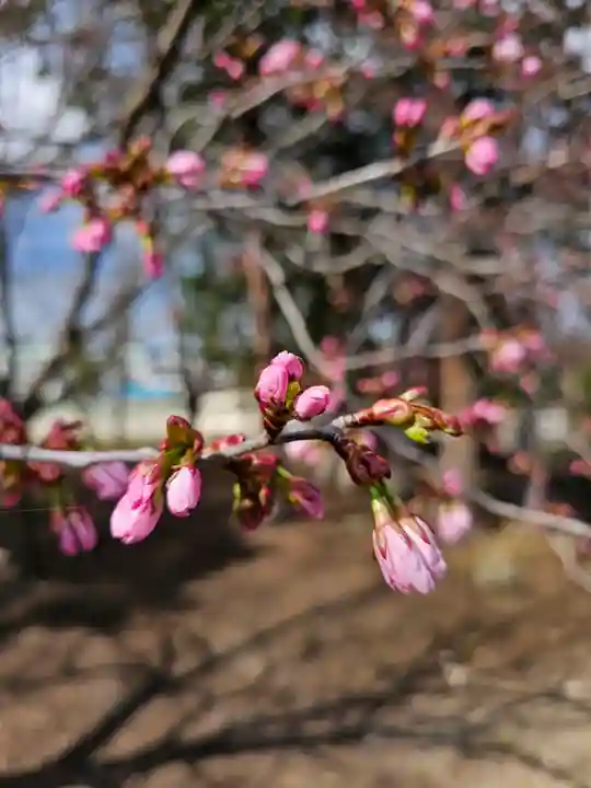 美幌神社(北海道)
