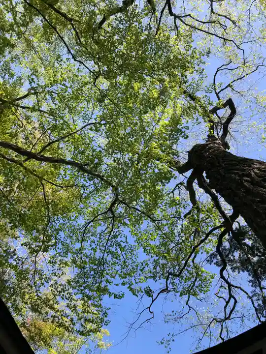 新屋山神社(山梨県)