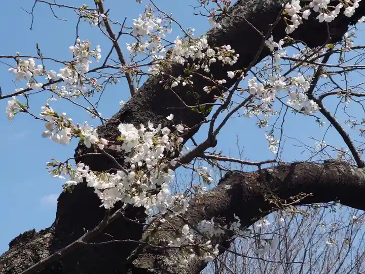 盛岩寺(神奈川県)