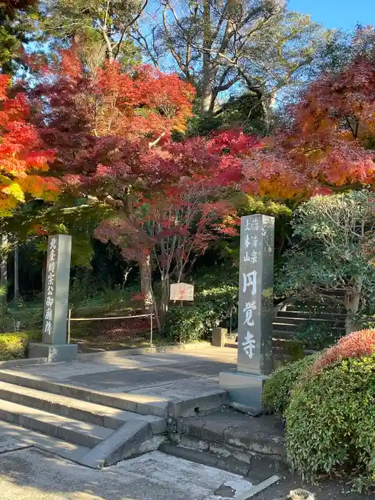 円覚寺(神奈川県)