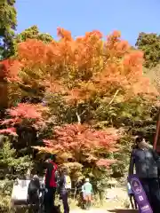 筑波山神社 女体山御本殿の周辺