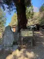 天龍寺の{uncategorized: "未分類", other: "その他", undefined: "問題あり", building: "その他建物", grave: "お墓", sacred_gate: "鳥居", guardian: "狛犬", statue: "像", buddha: "仏像", history: "歴史", nature: "自然", garden: "庭園", animal: "動物", pagoda: "塔", temizu: "手水舎", mountain_gate: "山門・神門", sanctuary: "本殿・本堂", subordinate: "末社・摂社", art: "芸術", scenery: "景色", jizo: "地蔵", ema: "絵馬", goshuin: "御朱印", omikuji: "おみくじ", items: "授与品その他", amulet: "お守り", goshuincho: "御朱印帳", eats: "食事", festival: "お祭り", votive_dance: "神楽", shichigosan: "七五三参", wedding: "結婚式", experience: "体験その他", initially: "初詣", around: "周辺", anti_infection: "感染症対策"}