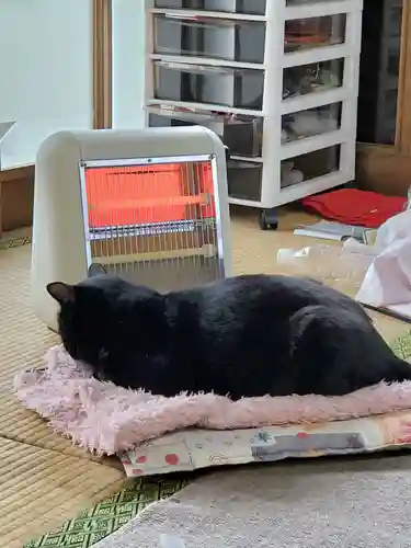 高司神社〜むすびの神の鎮まる社〜(福島県)