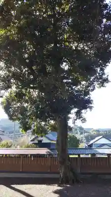 大井神社の自然
