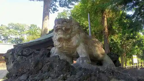 大井氷川神社の狛犬