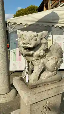 沖田神社の狛犬