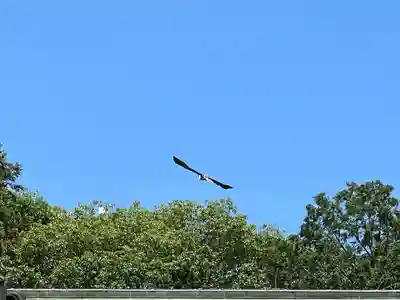 大生郷天満宮(茨城県)