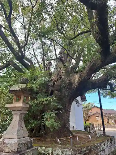 藤厳神社（闘鶏神社境内社)(和歌山県)