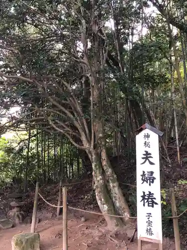 八重垣神社の自然
