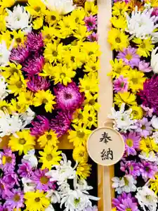 土津神社|こどもと出世の神さまの手水舎(2021年03月07日(日) 13時55分11秒投稿)