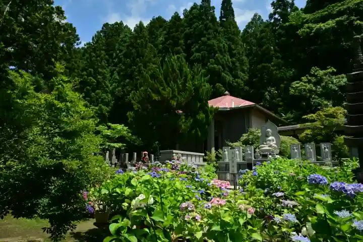 光照寺(新潟県)