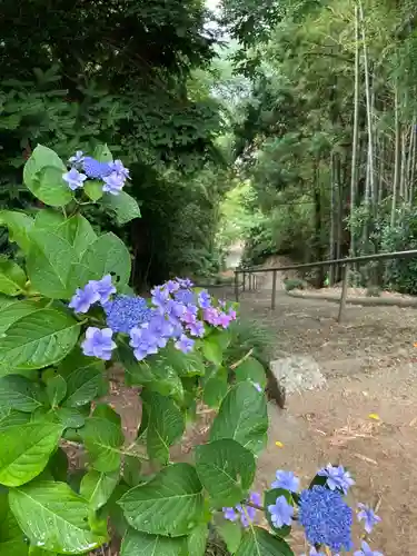 水守神社(福島県)