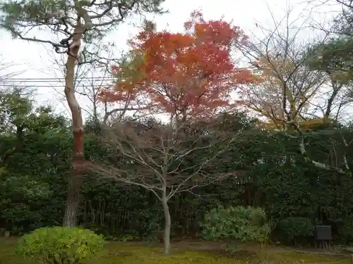 平等院の自然