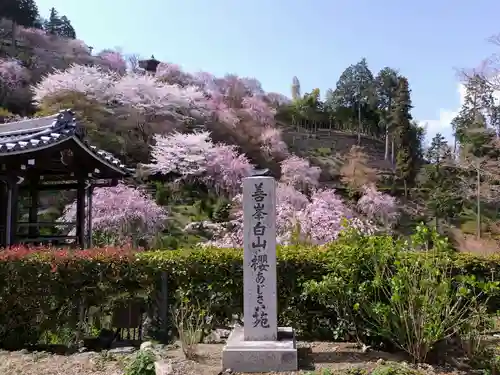 善峯寺(京都府)