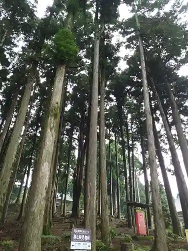 身延山奥之院思親閣の自然