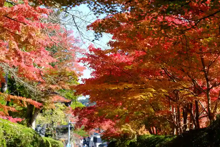 高野山金剛峯寺(和歌山県)