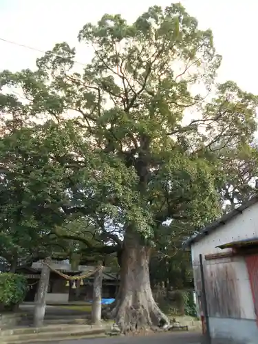 二見神社の鳥居