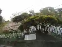 星井寺(虚空蔵堂)の周辺