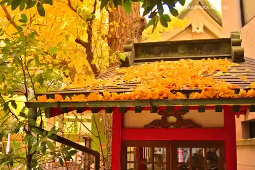 銀杏岡八幡神社(東京都)