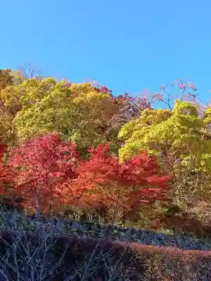 朝護孫子寺(奈良県)