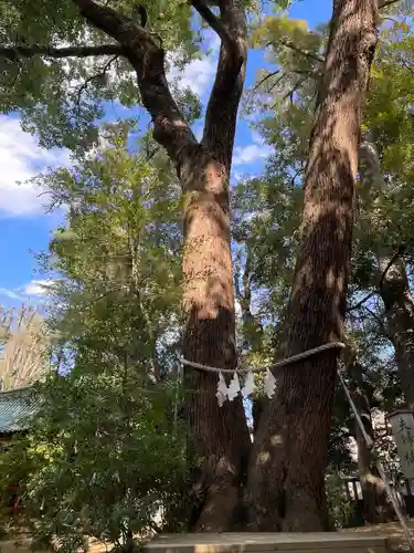 武蔵一宮氷川神社(埼玉県)