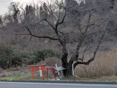 宇賀神さま(福島県)