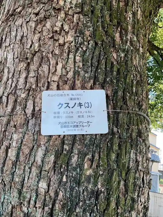 青海山 薬師寺(愛知県)