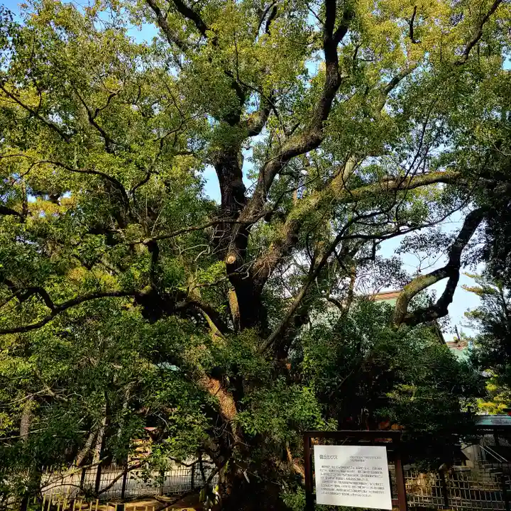 浜松八幡宮(静岡県)