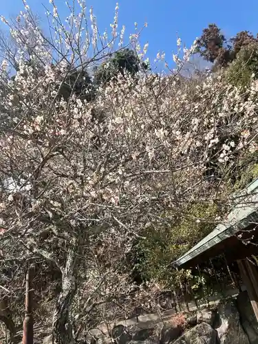 鎌倉宮(神奈川県)