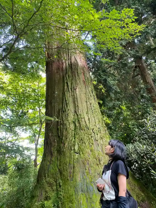 箱根神社(神奈川県)